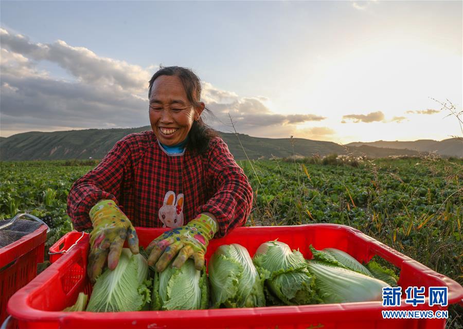 （新華全媒頭條·決戰(zhàn)決勝脫貧攻堅·督戰(zhàn)未摘帽貧困縣·圖文互動）（1）不獲全勝，決不收兵——全國52個掛牌督戰(zhàn)貧困縣脫貧攻堅紀實