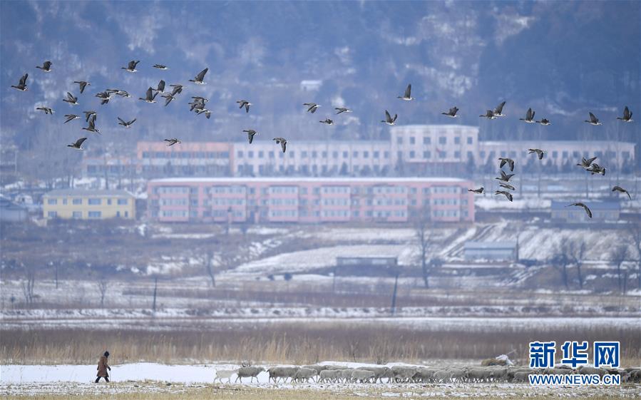 （新華全媒頭條·走向我們的小康生活·圖文互動）（14）黑土地上是我家——在吉林，一瞥中國東北鄉(xiāng)村美麗未來