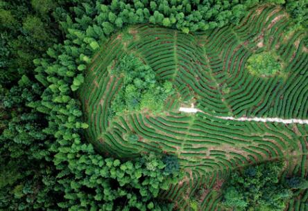 福建龍巖：高效用地，提升生態(tài)環(huán)境水平