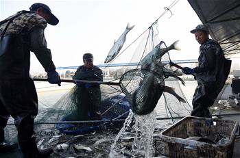 魚躍人歡冬捕忙