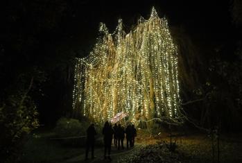 “柏林圣誕花園”燈光秀開幕