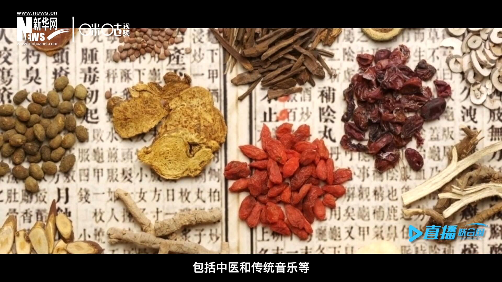 中國(guó)擁有的非遺資源種類極其豐富，包括中醫(yī)和傳統(tǒng)音樂(lè)等，這些都得到了很好的保護(hù)和傳播。