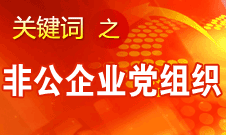 王京清：非公企業(yè)建立黨組織服務(wù)企業(yè)發(fā)展、服務(wù)員工