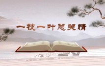 《平“語(yǔ)”近人——習(xí)近平總書記用典》（第一集）一枝一葉總關(guān)情