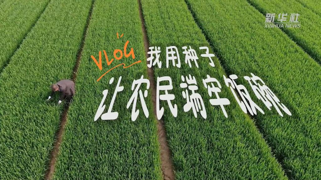 新華全媒+｜感受小康VLOG｜我用種子讓農(nóng)民端牢飯碗