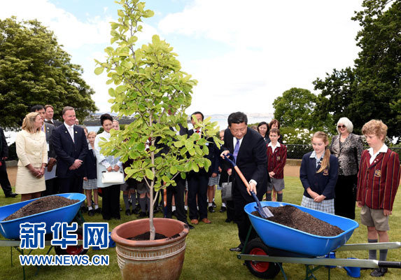 11月18日，國家主席習近平在澳大利亞塔斯馬尼亞州與朗塞斯頓市斯科奇－歐克伯恩小學的小學生共同植樹。新華社記者 饒愛民 攝