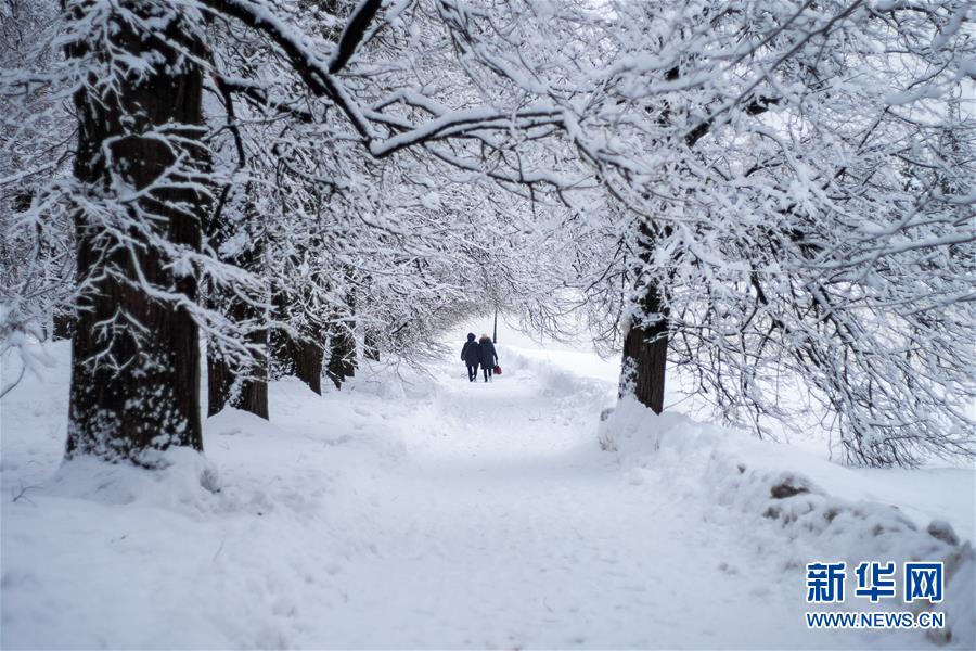 （國(guó)際）（1）雪中莊園